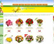 Arena Flowers website
